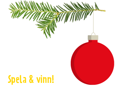 Adventskalender 2025