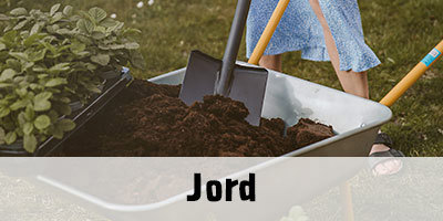 Jord