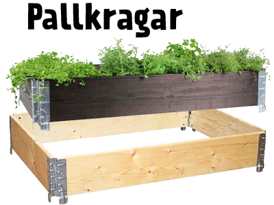 Pallkragar