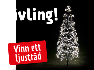 Tävling ljusträd