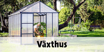 Växthus